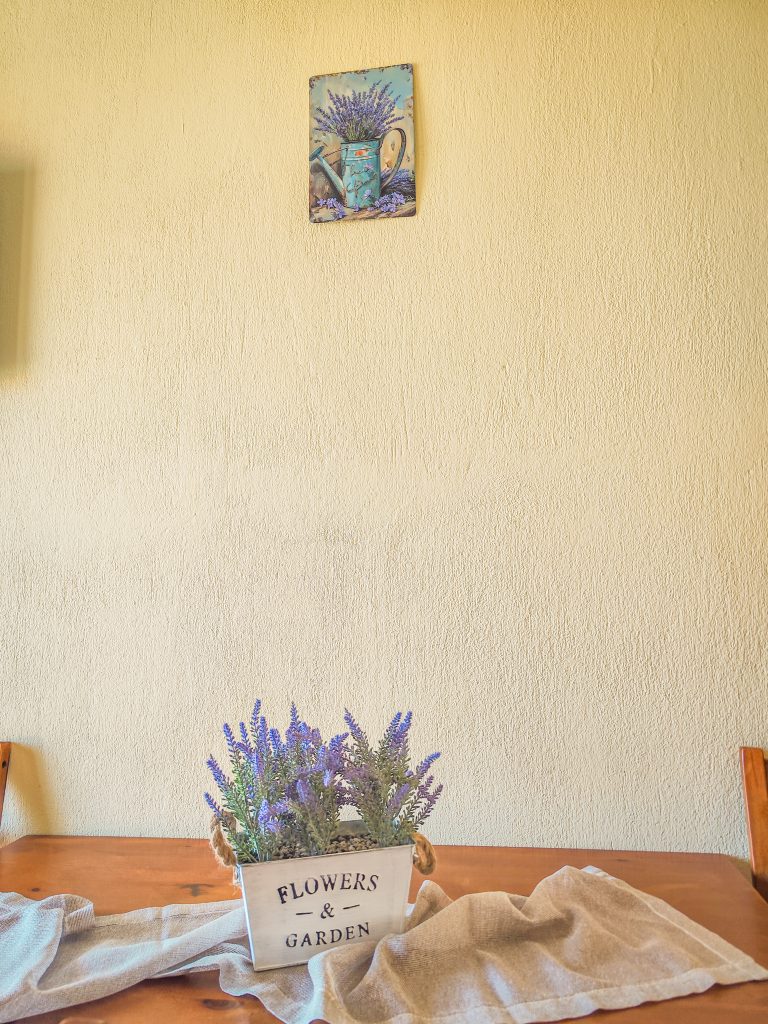 IMG_20250426_121634 (1)